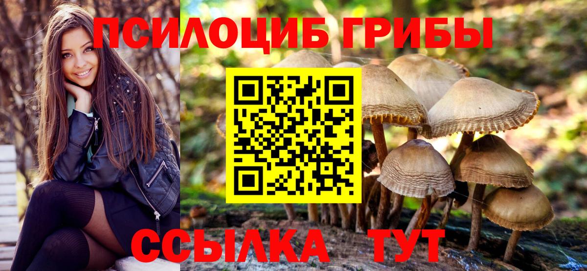 Чусовой  Галлюциногенные грибы GOLDEN TEACHER  купить наркотик  Вход с VPN 