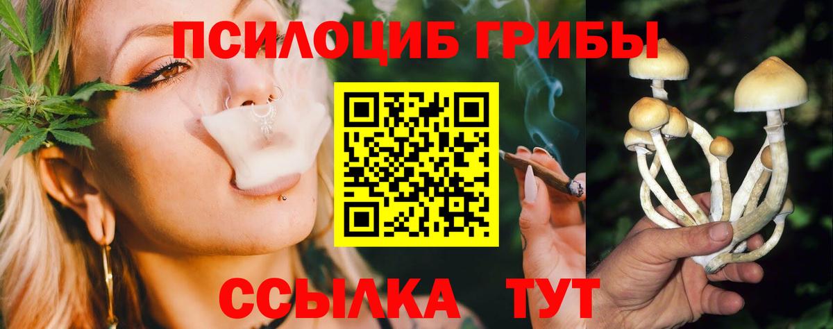 Псилоцибиновые грибы MAGIC MUSHROOMS Чусовой